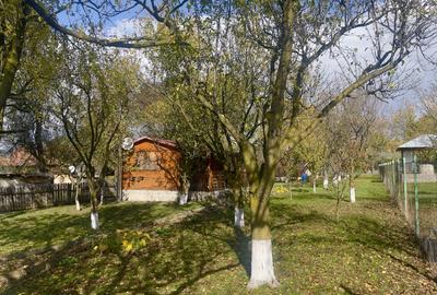 Casute Breaza, teren 1140 mp - 1