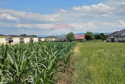 Casă / Vilă, teren 1700mp,  în Lisaura-Ipotești, Suceava - 36