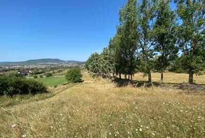Teren intravilan 2600 mp - pretabil casa/investitie-Zona Aerodrom - 2