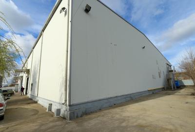 Hala Depozitare/Productie Pantelimon-Complet Inchiriata - 3