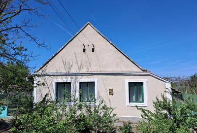 Valcani, proprietate cu casa taraneasca - 2