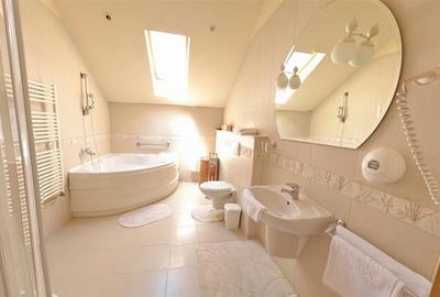 Hotel Bielmann,unicitate si profitabilitate optima in turism,Sanpetru, Brasov - 7