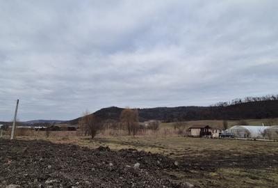 De vanzare 1.7ha teren-6 euro/mp - 2