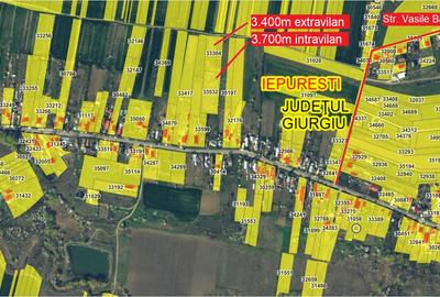 Vand teren Gorneni/Iepuresti/Giurgiu 3700 intravilan + 3400 extravilan - 2