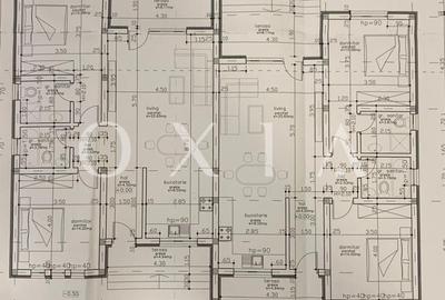 SX696 Mosnita Noua - Duplex - Mobilat utilat - 19