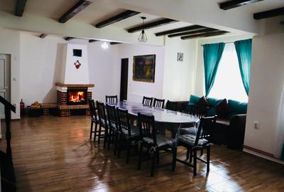 Casa de vacanta cu 5 camere si iesire la rau in Raul Sadului - 3