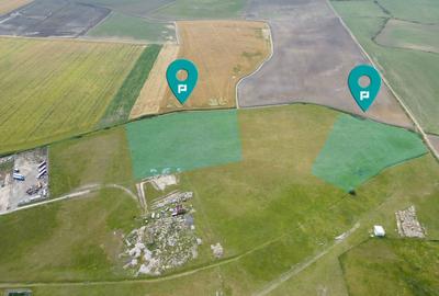 Teren intravilan de 26,606mp Sacalaz - 33