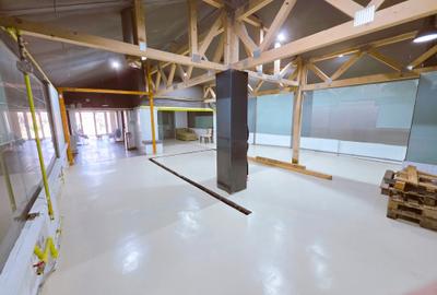 Baneasa open space 140 mp clasa A - 12