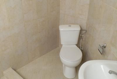 Vilă de  la Podul Grant – 250 mp + 100 mp curte - 29
