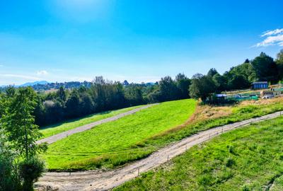Teren intravilan zona Bran-Tohanita,langa padure intre 500 si 1000 m - 4