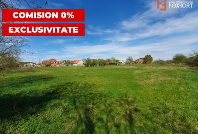 Comision 0% Teren intravilan 3000 mp in Padureni Jebel - 8