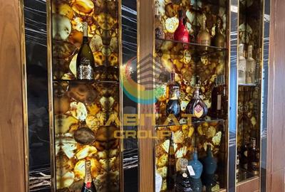 Penthouse in zona parcului Tineretului | Oraselul Copiilor 335mp - 16