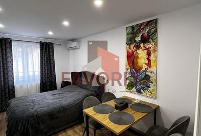 Garsonieră decomandată, mobilată în Iosefin