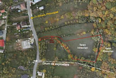 Teren 3.800 mp | Pucioasa, Dâmbovița | Natură, liniște și acces dublu - 6