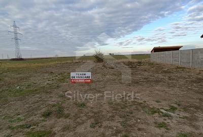 Teren Dumbrăvița cu front generos 24 ml - 1