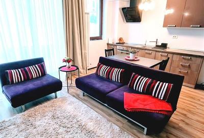 Apartament 2 camere spatios, langa parcul Herastrau - 3