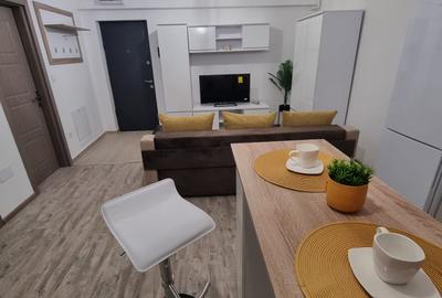 420euro/luna, apartament 2 camere open space, Tudor Vladimirescu-Iulius Mall - 6
