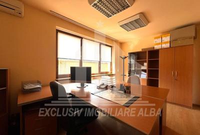 Spatiu de birouri | P + 2E | 254 mp | 10 camere | Parcare | Cetate - 9