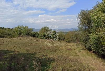 Teren  42,200 mp (4,22 hectare)-Parcelabil-investitie-Valea Jelnei - 1