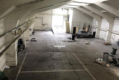 Basarabia - Costin Georgian | Hală industrială - 1