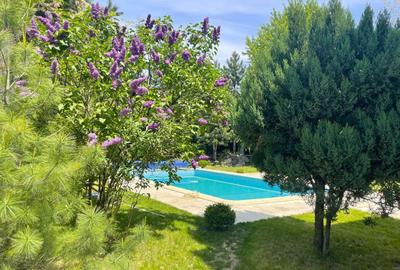Eleganță în Vila de Excepție  |   Vila cu piscina încălzită - 5