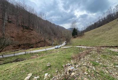 Teren intravilan 1.28ha Remeti–perfect pensiune/cabane, zonă turistica - 5