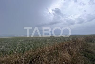 Teren de vanzare extravilan 30000 mp 60 ml deschidere Sura Mare Sibiu - 1