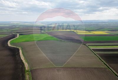 Teren 86,000mp Suceava / DN 17 - 1