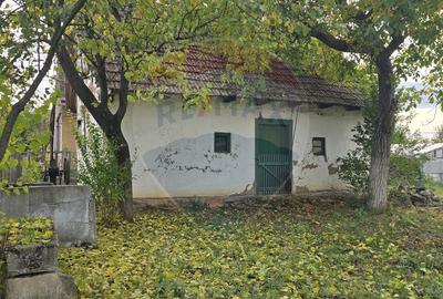 Teren generos cu potential în comuna Silindia, judetul Arad - 12