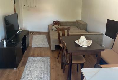 Garsoniera decomandata de inchiriat zona Trocadero - 1