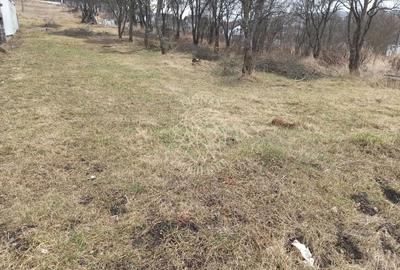 Teren intravilan 1953 mp utilitati- 4800 E/ ar Zona Valea Sigmirului - 1