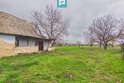 Teren 2777 mp intravilan, utilități, Felcheriu - 2