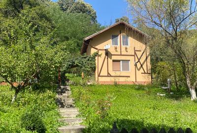 Casă de vacanță, Merisani, Arges- idealimob.ro - 1