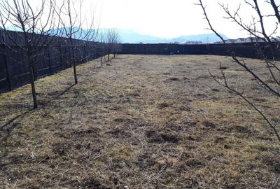 Parcela ingradita in Tractoru zona Ioan Popasu - 6