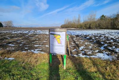 Teren intravilan - Str. Vasile Goldis, ideal pentru ansamblu rezidential - 3