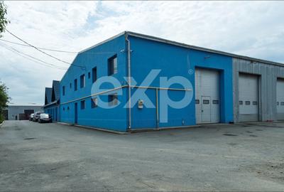 Proprietate industrială cu vizibilitate DN13 – Hală, birouri și teren 6.250 mp - 3