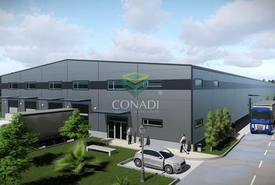 Teren de vanzare cu autorizatie pentru 2 hale - Otopeni - 10.000 mp - 4