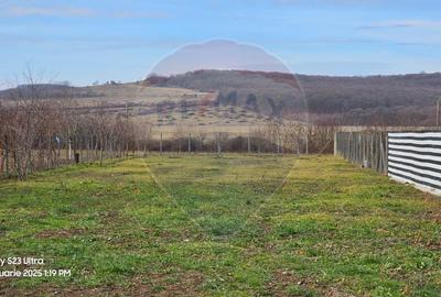 De vânzare teren intravilan 1,186mp Ineu -Strada Principală - 7