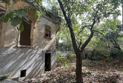 VILA INDIVIDUALA CISMIGIU | INTR. TEMISANA - 8