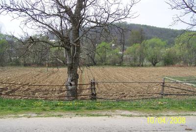 Vad 22000 mp INTRAVILAN BOGATI DJ702C jud Arges - 2