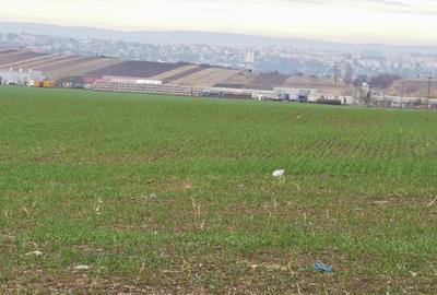 Terenuri in Rachiti - 9