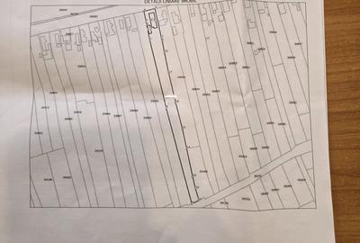 Teren + casa batraneasca PARTIZANI com MALIUC  (PE MALUL Dunarii) - 2