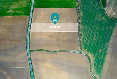 Teren agricol extravilan de 8000 mp, în Zimandu Nou