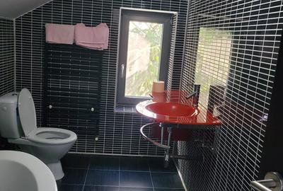Casă modernă P+E+M de vânzare în Peciu Nou | 180 mp utili | Teren 500 mp | 3 dor - 9