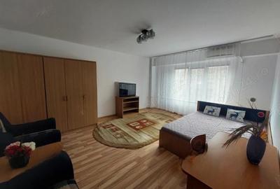 Timpuri Noi - Splaiul Independentei | Garsoniera | Decomandat - 1