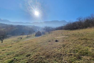 Teren rezidential zona Bran Tohanita zona de case - 2