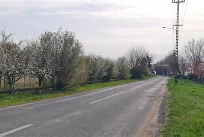 TEREN INTRAVILAN DOROBANTI - 3