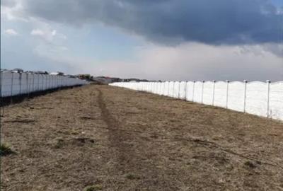 TEREN INTRAVILAN DE VÂNZARE – 3.015 MP – TUNARI– IDEAL INVESTIȚIE,DEZVOLTARE - 4