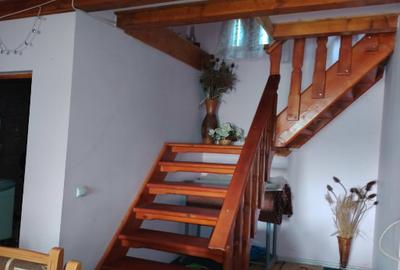 Proprietate de vacanta Valea Oltului - BREZOI - 10