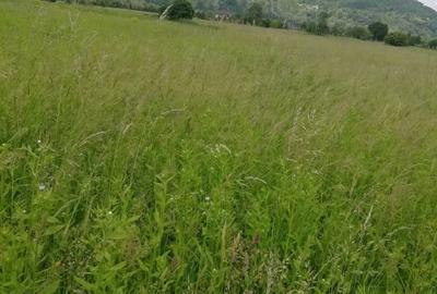 Teren Vaduri, com.Al.cel Bun - 1